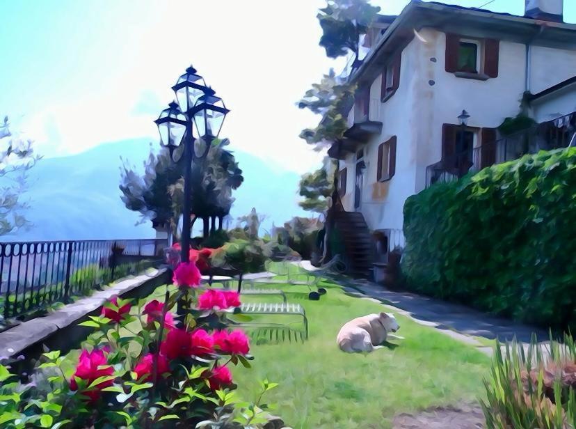 B&B Villa Moro - Family House Domodossola Kültér fotó