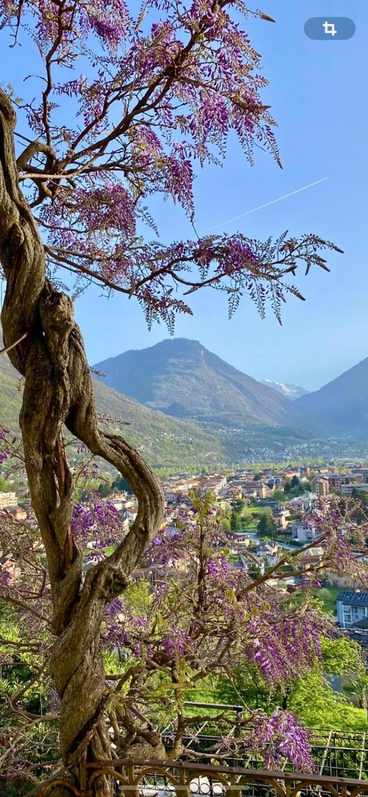 B&B Villa Moro - Family House Domodossola Kültér fotó